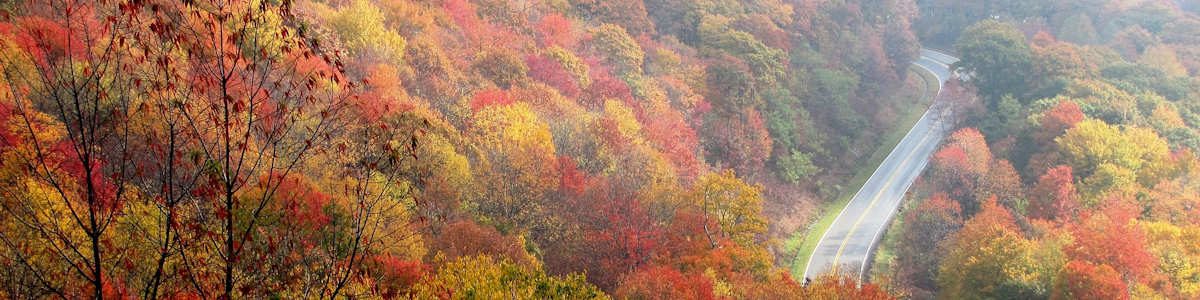 Image of a winding country road in the mountains, representing the roads in West Virginia where auto accidents happen every day. When you're hurt in a car wreck, leverage the expertise of a WV auto accident attorney like Jason Harwood to receive fair compensation.